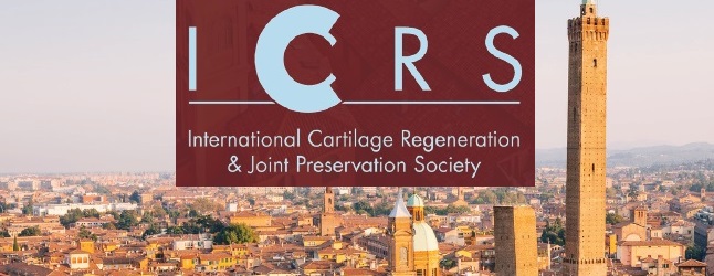 Immagine locandina ICRS Focus Meeting (particolare)