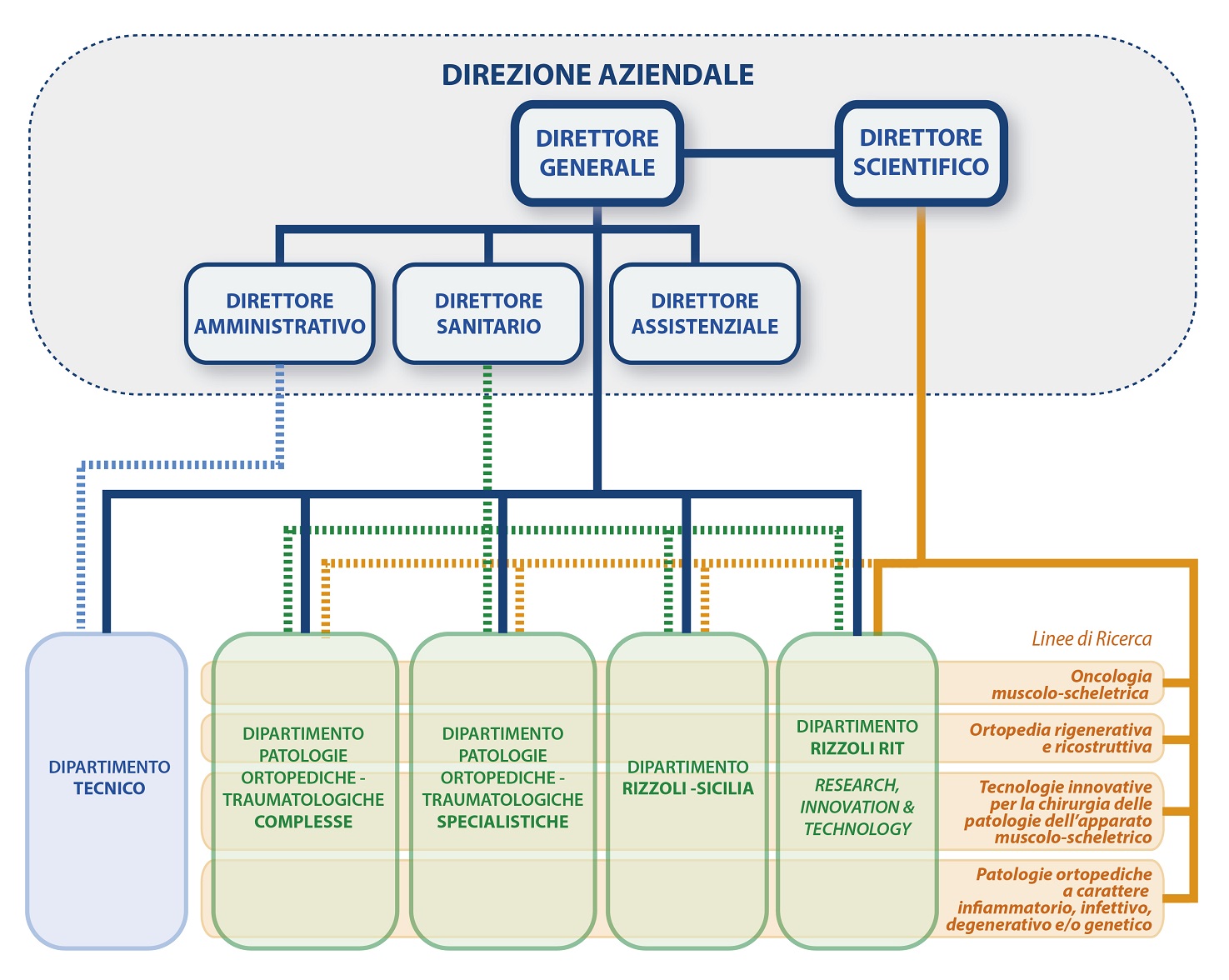 Organigramma Istituto Ortopedico Rizzoli