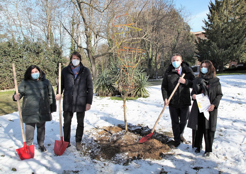 Il melograno messo a dimora nel giardino dell'Istituto Ortopedico Rizzoli. Da sinistra Viola Damen, direttore sanitario, Anselmo Campagna, direttore generale, Raffaele Donini, assessore regionale alle politiche per la salute, Sabrina Bergonzoni, presidente AGITO.