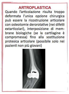 Fig. 16